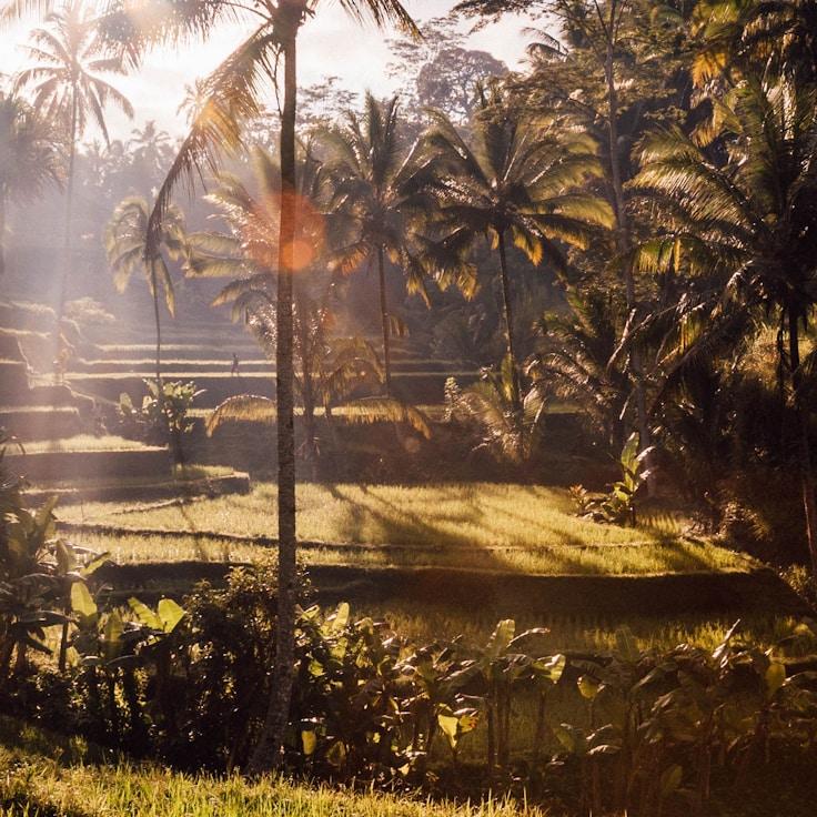 Outdoor terrace seating suitable for families in Paris